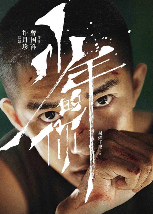 三支一扶政审高中毕业证